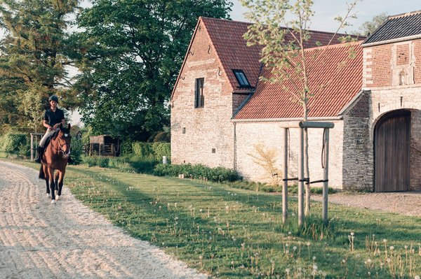 Équitation : guide pratique pour cavaliers novices et experts